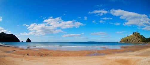 Enjoy your day at the beach to the fullest. [Image via Commons Wikimedia ]