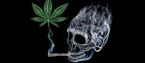 Maconha afeta o cora&ccedil;&atilde;o e prejudica a press&atilde;o arterial, aponta pesquisa cient&iacute;fica (Banco de imagens Google)