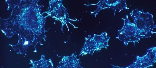 The stars say you should remove yourself immediately from toxic situations Cancer! - Images via timesofisrael.com