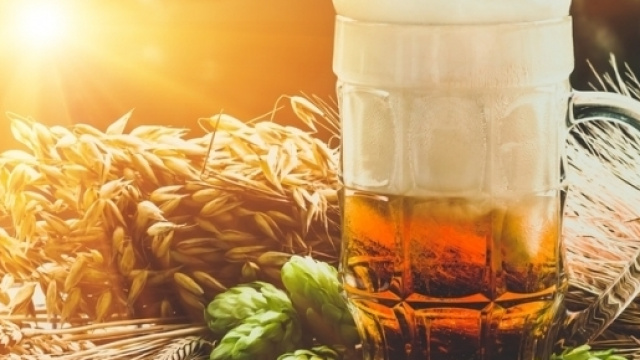 Un boccale di birra (o un bicchiere di vino) sveglia la creativit&agrave; - foto:uelcom