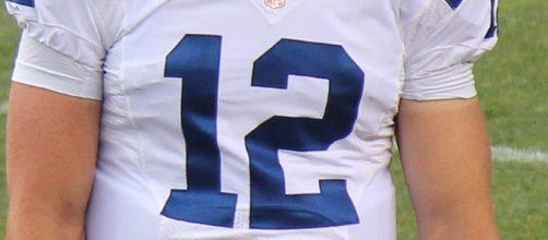 Andrew is so beat up. Jeffrey Beall via Wikimedia Commons