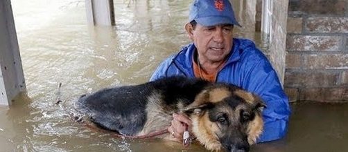 Damage done by Hurricane Harvey in Houston, Texas [Image: Tony's Eyes/You Tube screenshot]