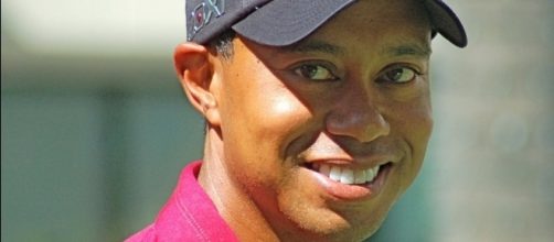 This Tiger cannot return. Angela George via Wikimedia Commons