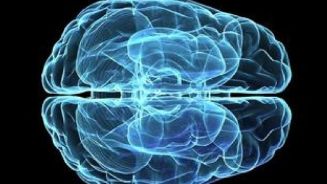 Gay o etero? Te lo dice un algoritmo - LOxC - Informazioni e Corsi ... - loxc.it