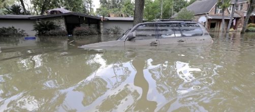 Despite Hurricanes Harvey and Irma, science has no idea if climate ... - washingtonexaminer.com