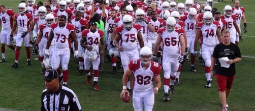 The Cardinals got unlucky. Jeffrey Beall via Wikimedia Commons