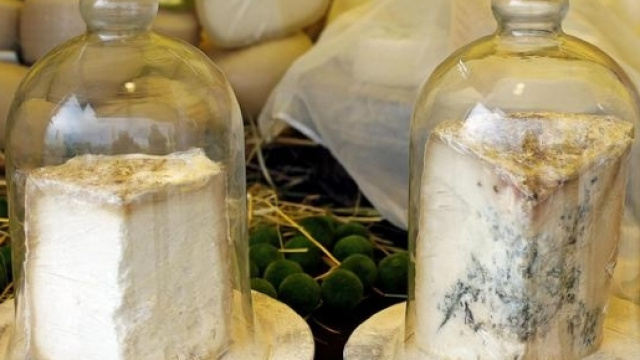 Formaggi come taleggio e gorgonzola non possono pi&ugrave; entrare in Cina