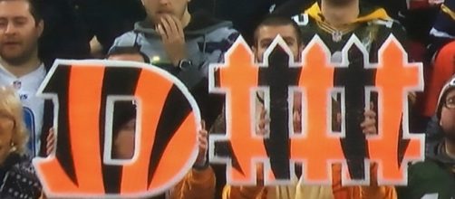 D-Fence [Cincinnati Bengals] | Q. Do they have good defense?&hellip; | Flickr - flickr.com