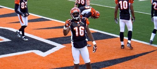 The Bengals need to make it right. Bulgarian the King via Wikimedia Commons