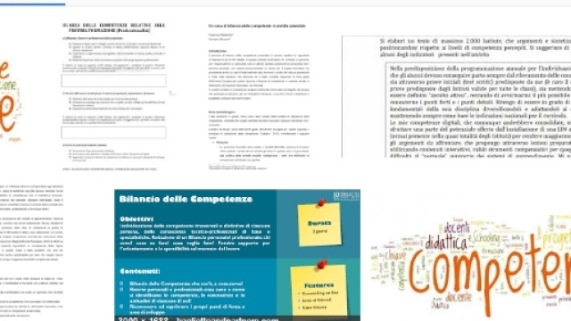 Esempio di bilancio delle competenze