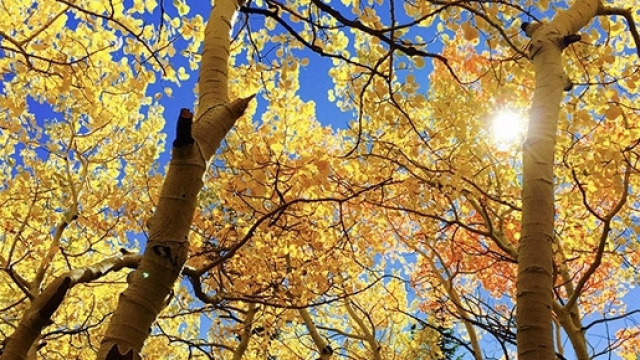 Quando cade l'equinozio d&rsquo;autunno