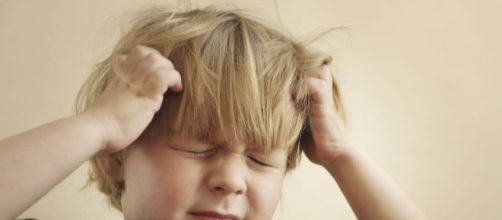 C&oacute;mo eliminar para siempre los piojos - Piojos - ERRADICA.ME - erradica.me