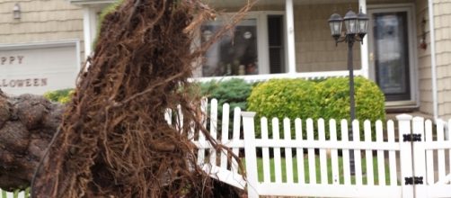 Hurricane Irma has left 11 people dead/Photo via Pamela Andrade, Flickr