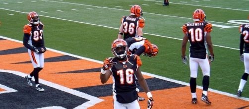 The Bengals cannot be fixed like this. Bulgarian the King via Wikimedia Commons