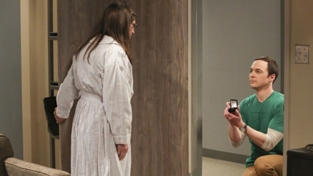 Big Bang Theory' Season 10 Finale: Sheldon's Proposal Explained ... - hollywoodreporter.com