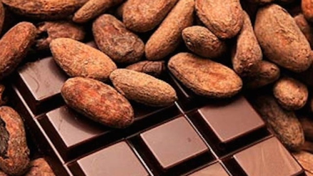 Deforestazione selvaggia per fare spazio alle coltivazioni illegali di cacao