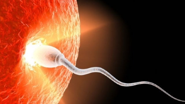 I miti della fertilit&agrave; - I miti della fertilit&agrave; - Foto Gallery ... - pianetamamma.it