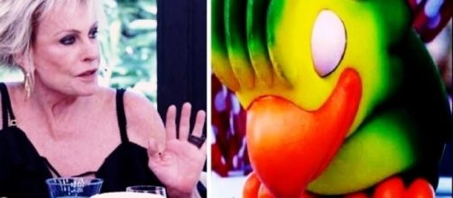 Louro Jos&eacute; est&aacute; ausente do Mais Voc&ecirc; devido a problemas de sa&uacute;de