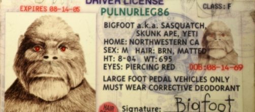 California considers adding a third gender option on driving licenses. Source; flikr.com