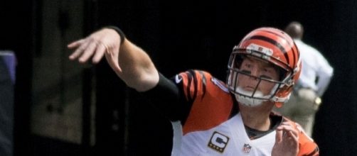 Head coach Marvin Lewis said Andy Dalton&rsquo;s job as starting QB is secure -- Keith Allison via WikiCommons