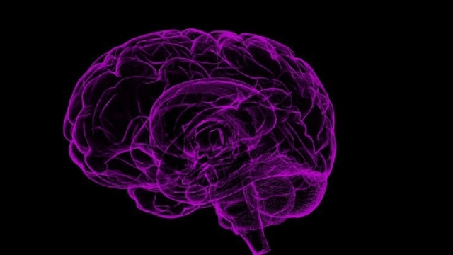 Svelato il meccanismo dei tic nella Sindrome di Tourette