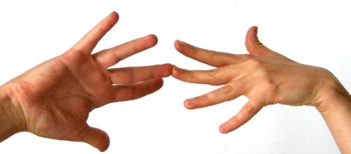 Los solteros, un negocio de oro