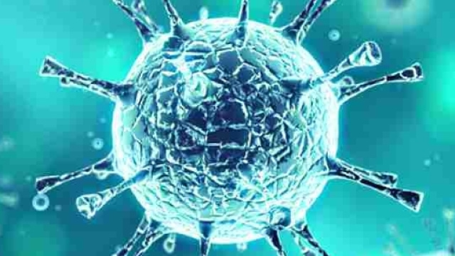 Le 3 cose da sapere sulla Chikungunya (Entertain24)