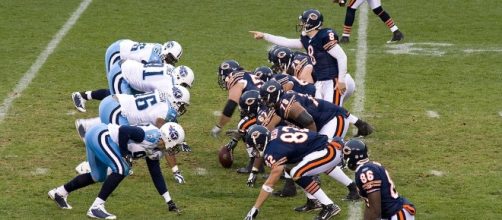 The Bears could be learning Jauerback via Wikimedia Commons