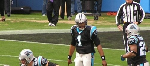 The Carolina Panthers (Wikimedia Commons/AnthonySC1988)