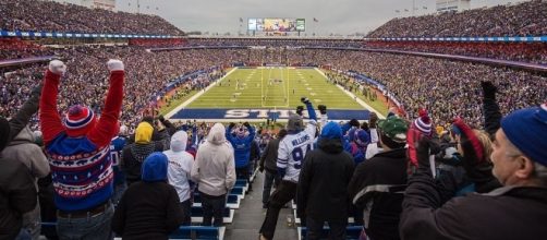 Ralph Wilson Stadium(wikimedia.org/mikefats at flickr)