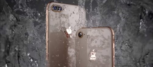 The iPhone 8 and iPhone 8 Plus have a durable glass design. (via TheVerge/Youtube)