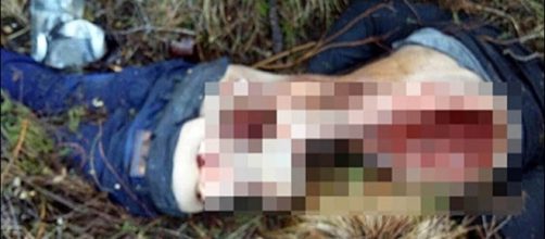 Ursos famintos mataram e devoraram parcialmente um homem russo (Cr&eacute;dito: Siberian Times)