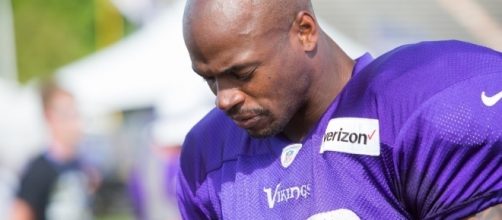 Vikings Training Camp 2016 - Adrian Peterson | Adrian Peters&hellip; | Flickr - flickr.com