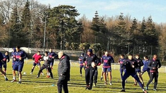 Rugby. Top 14 : tout n'est pas rose au Stade Fran&ccedil;ais - Le Parisien - leparisien.fr