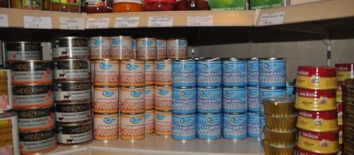 Canning, food safety. Image via pixabay