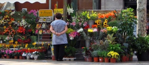 Imagen de La Rambla de Barcelona