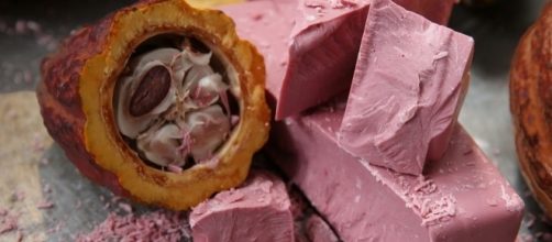 Photograph courtesy of: Barry Callebaut