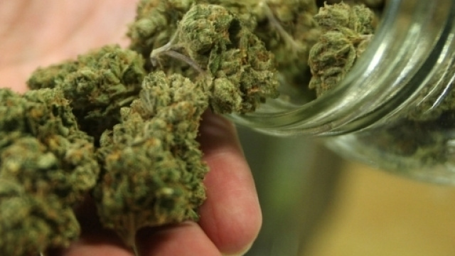 13 Strange Facts about Marijuana, DocumentaryTube - documentarytube.com