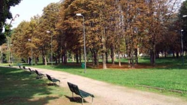 Il Parco Nord di MIlano dove mercoled&igrave; scorso l'81 enne &egrave; stata violentata presumibilmente da uno straniero.