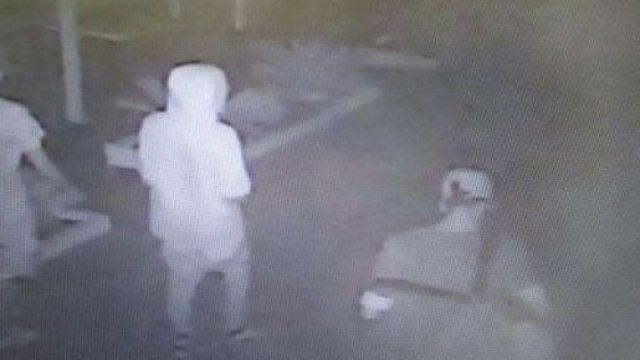 Rimini, la foto diffusa dalla Polizia sul branco responsabile dello stupro