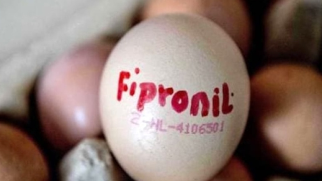 Uova contaminate dal Fipronil: si controlla nel lecchese. Gli esiti - leccotoday.it