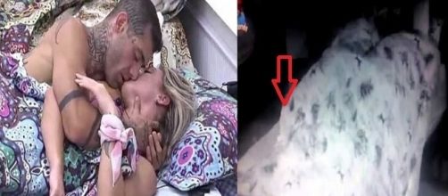 O clima esquentou debaixo dos edredons de um dos quartos de "A Fazenda" nesta ter&ccedil;a-feira, 19.