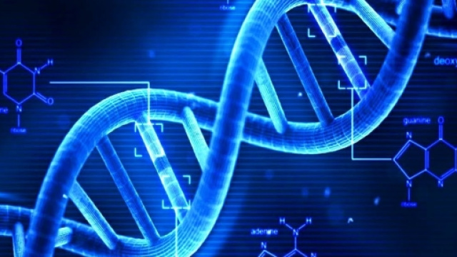 Abbiamo dei geni che innescano l'invecchiamento