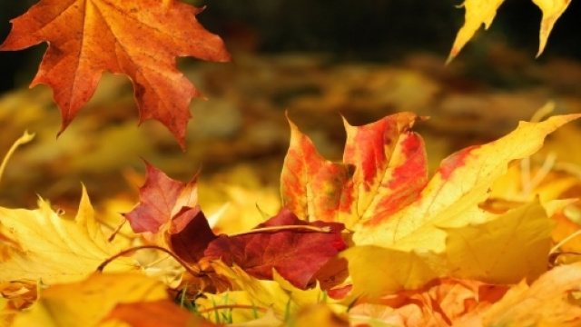 Estate Addio! Con L'Equinozio arriva l'autunno