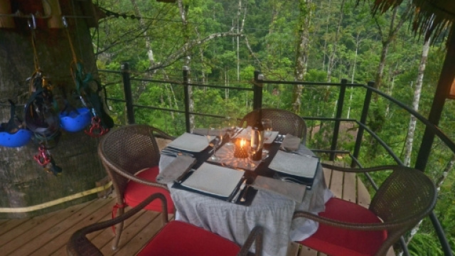 La festa di compleanno di un milardario su un ristorante-albero si &egrave; tramutata in tragedia.