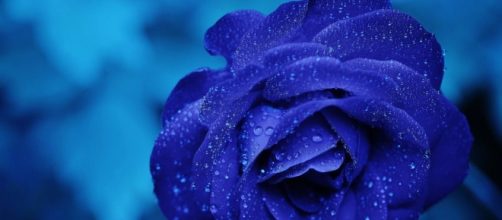 How to know if your significant other is unhappy in your relationship| CCO Public Domain | Photo via pexels, pixabay.com