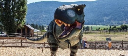 MIT study predicts the start of sixth mass extinction by 2100 [Image: Pixabay]