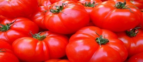 Tomates rojos. Public Domain..