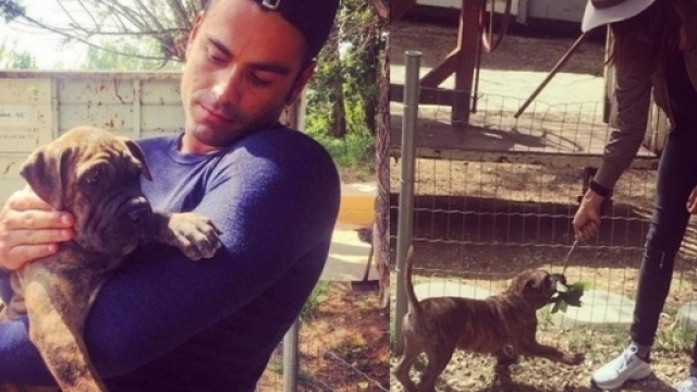 Ricardo et Nehuda encore une fois au coeur de la pol&eacute;mique : ils menacent un petit gar&ccedil;on ! La maman porte plainte.