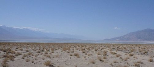 A new scientific paper proves that Earth's life forms are all going extinct. - [Image by kallahar/wikimedia commons]